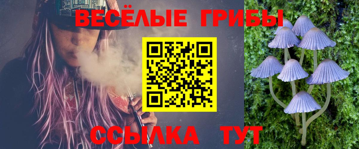 Псилоцибиновые грибы Psilocybe Урай